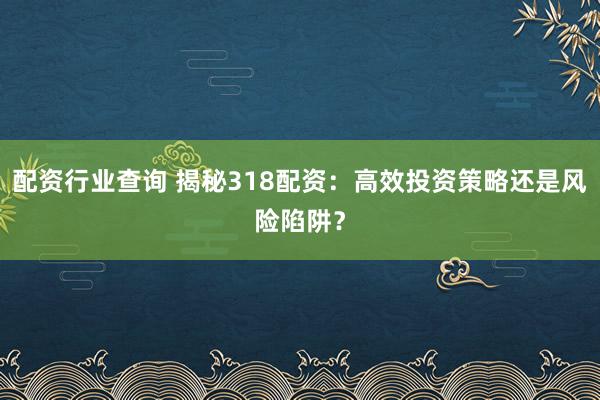 配资行业查询 揭秘318配资：高效投资策略还是风险陷阱？