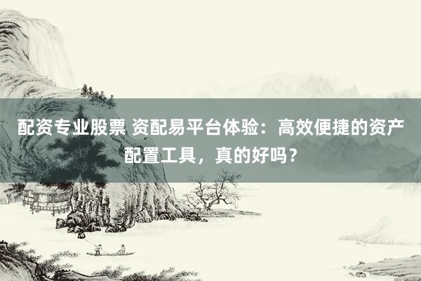 配资专业股票 资配易平台体验：高效便捷的资产配置工具，真的好吗？
