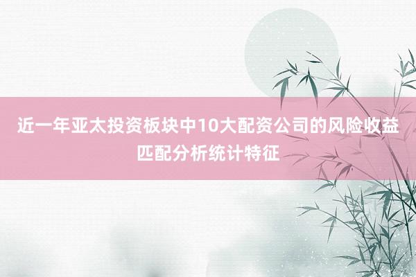 近一年亚太投资板块中10大配资公司的风险收益匹配分析统计特征
