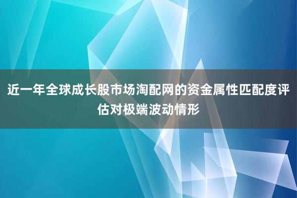近一年全球成长股市场淘配网的资金属性匹配度评估对极端波动情形
