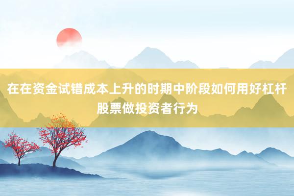 在在资金试错成本上升的时期中阶段如何用好杠杆股票做投资者行为