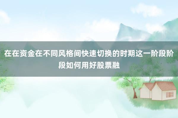 在在资金在不同风格间快速切换的时期这一阶段阶段如何用好股票融