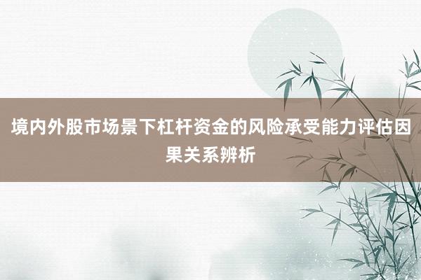 境内外股市场景下杠杆资金的风险承受能力评估因果关系辨析